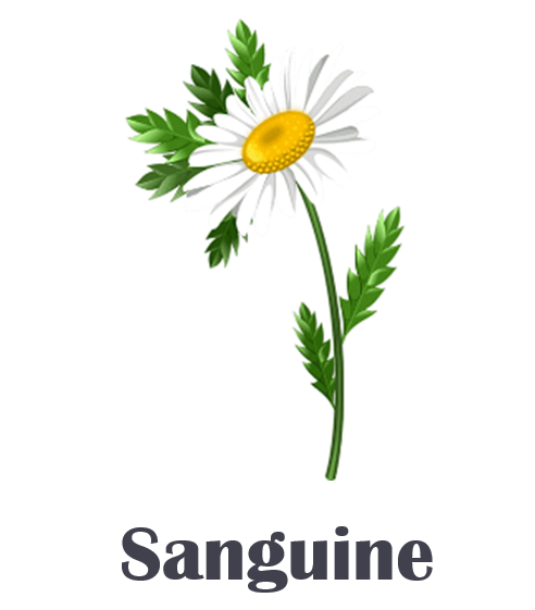 sanguine